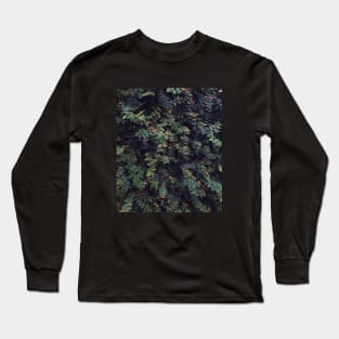 Autumn leaves - Abstract photography Long Sleeve T-Shirt